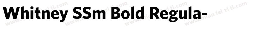 Whitney SSm Bold Regula字体转换